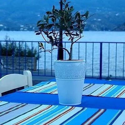 Bed & Breakfast Convitto Della Calza - Casa Per Ferie Florens